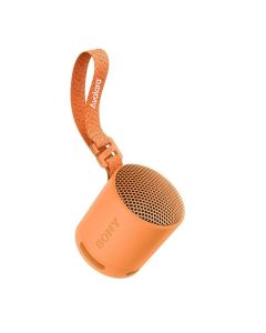 Sony SRS-XB100 Wireless Bluetooth Speaker